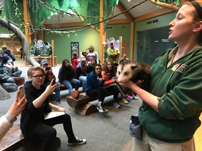Flaunting Ophelia the opossum, Henry Doorly Zoo keeper Sarah Stoltenberg discusses animal care with a group of Omaha World-Herald Explorers on March 25. CHRIS PETERS/EXPLORING